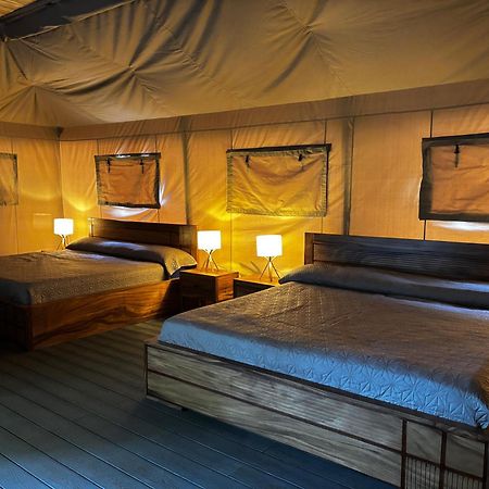 Arenal Backpackers Resort La Fortuna Екстериор снимка