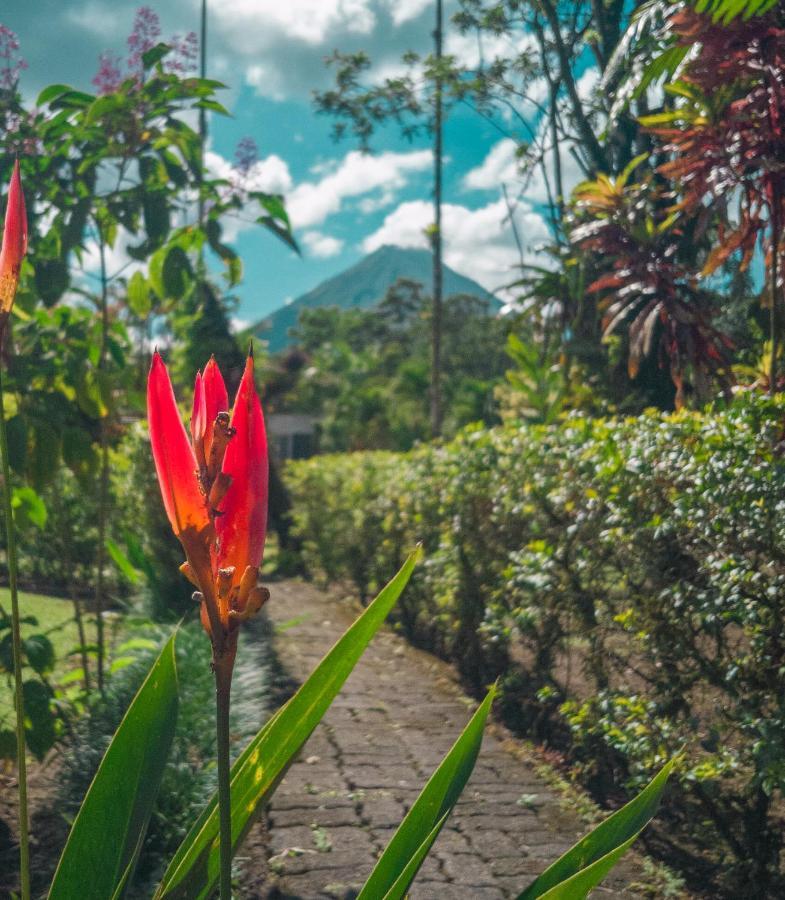 Arenal Backpackers Resort La Fortuna Екстериор снимка A view of Mount Apo