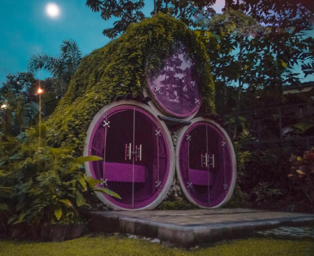 Arenal Backpackers Resort La Fortuna Екстериор снимка The Hobbit Hole