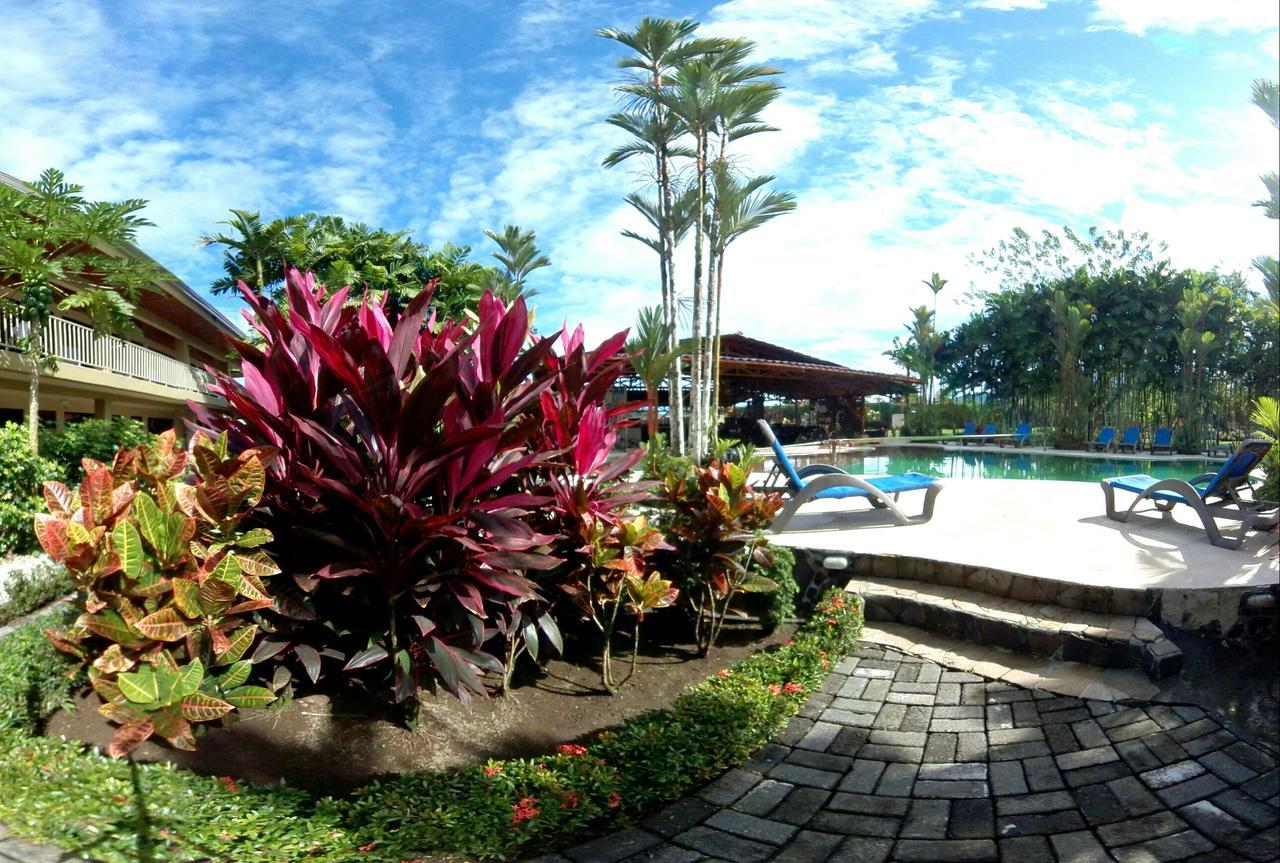 Arenal Backpackers Resort La Fortuna Екстериор снимка The pool at the resort