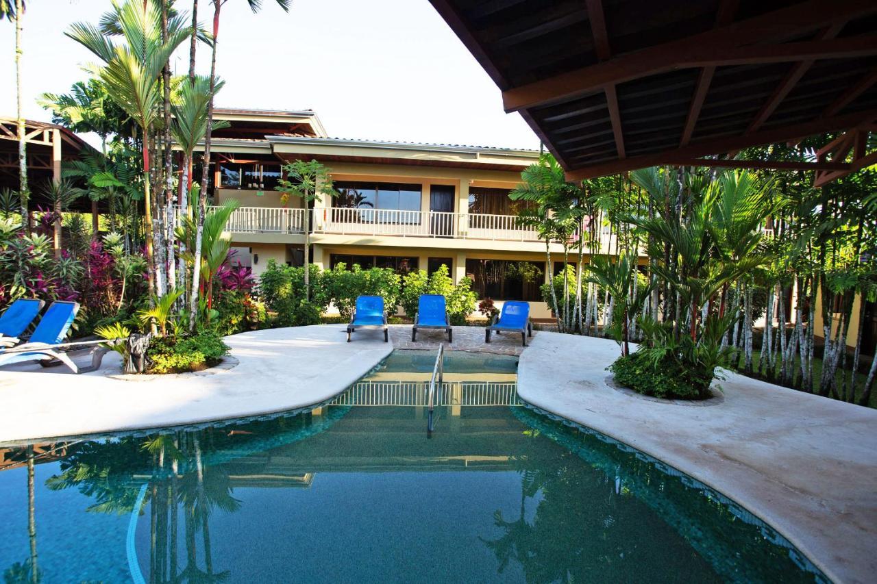 Arenal Backpackers Resort La Fortuna Екстериор снимка The swimming pool at the hotel