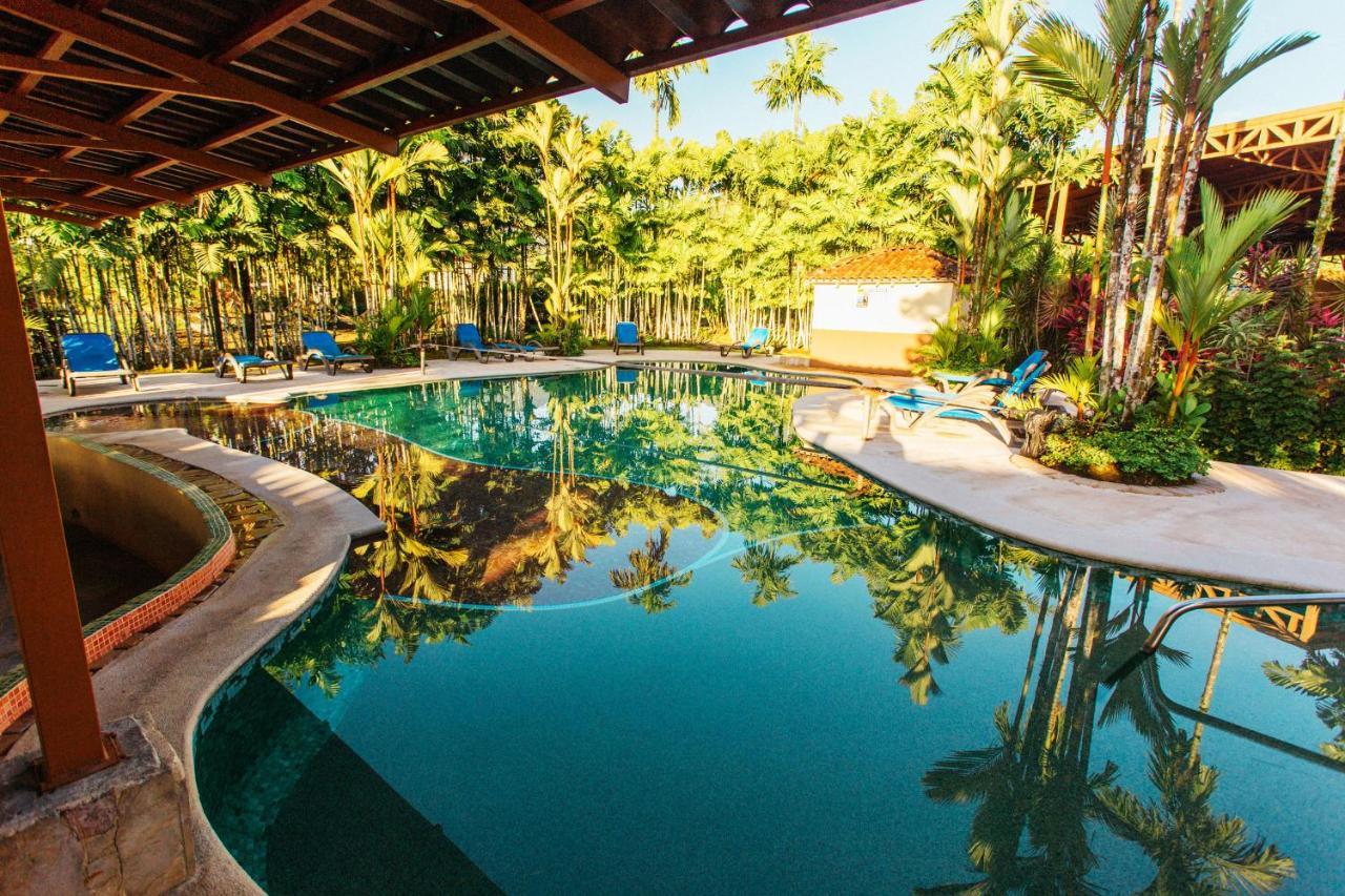 Arenal Backpackers Resort La Fortuna Екстериор снимка The swimming pool at the resort